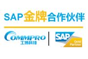 sap(sh)ʩ sapܛϵy(tng) sap˾