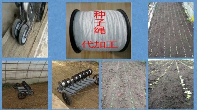 種子繩 播種繩 拉菜繩——常州風(fēng)雷精機(jī)