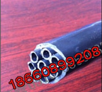 ϩ12mmV܏S(chng)
