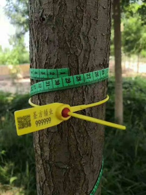 i ̖䌣