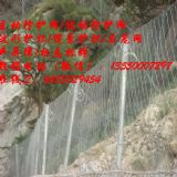 ӷo(h)W(wng)(yng)S|ӷo(h)W(wng)|^(q)rʯW(wng)