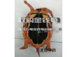 L(zhng)ڸ߃r(ji)ُX