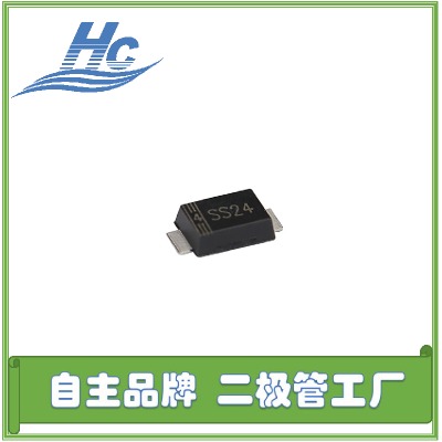 SS24FNƬO