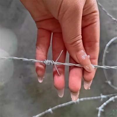 (l)ܴFzдFzW(wng)F޼