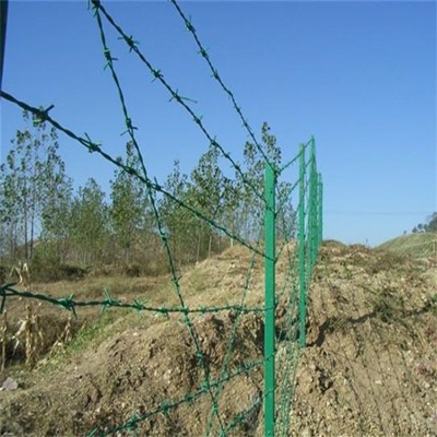 (l)P䓎FzW(wng)P䓽zW(wng)P䓴Fz