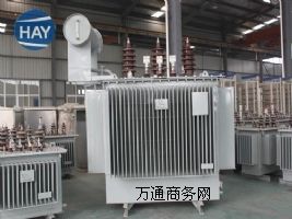 S11-501600/35KV(j)׃    ֻ