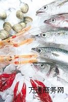 冷庫保溫 安裝冷庫 海鮮冷庫