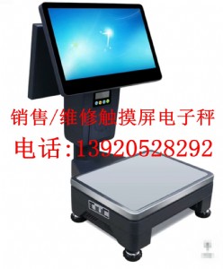 天津銷售觸摸屏電子秤