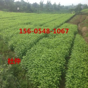 (yng)3ֶكr(ji)456ֶ٘(sh)