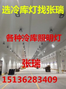 24v冷庫應急燈防爆燈