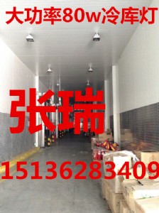 36v冷庫應(yīng)急燈