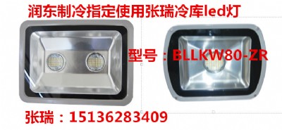家明品牌80w冷庫燈
