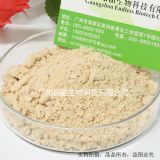 天然厚樸提取物90% 穩(wěn)定性好 價格低
