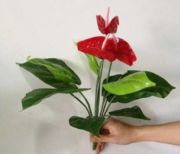 Sҵ̓rNtưڒ