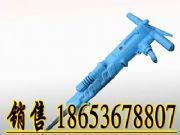 (j)RB87C(dng)C(j)(dng)