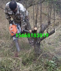 ʽݙC ě_ֳʽݙC