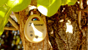 kestrel drop2