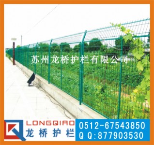 ݸٹ·oھW(wng) ܾGɫFzW(wng) SֱN