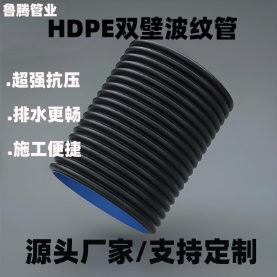 ܵԺpڲy (bio)DN200pڲy mȏp