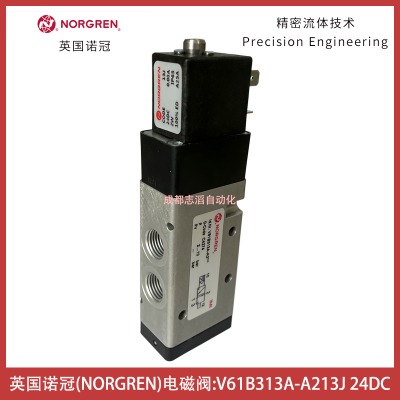 V61B313A-A2Ȧ̖(ho)13J늉24VDCӢ(gu)Z