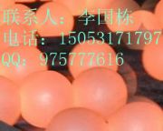 늏SĥúC(D)