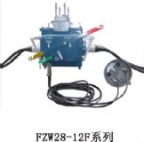 Ϸֽؓ(f)_P(gun)fzw28-12