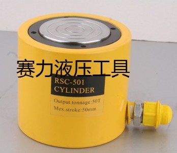 (yng)RSC-10пҺǧ