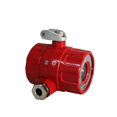 gw100ir2pλ̽yS