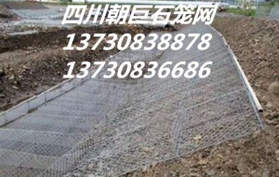 \XϽʯ\W(wng)ʯ\W(wng)r(ji)񡢸eʯ\W(wng)·o(h)W(wng)ѴW(wng)