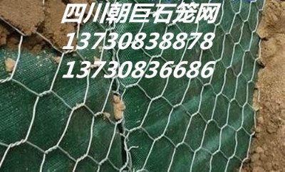 ʯ\W(wng)eW(wng)ߠʯ\W(wng)·o(h)W(wng)ӽˉ|l(f)