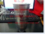 重汽豪沃(HOWO)輕卡配件燃油濾芯