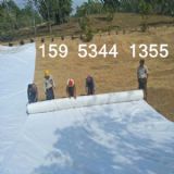 200g/m2L(zhng)wo?f)?/>
<div><a href='#' onClick='op1(38685)'><img src='/image/xunjia.gif' style=