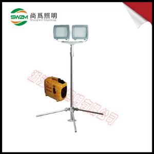 sw2930y_sw2930