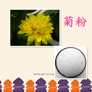 (yng)շ95 ȡ inulin powder