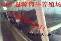 ţB(yng)ֳ(chng),NţX(˼ԴI(y)