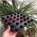 ˲܇ˮo?f)?><div><a rel="nofollow" href="javascript:op1(752096)"><img src=
