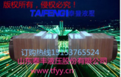 供應(yīng)WST125-00型泰豐數(shù)控折彎?rùn)C(jī)油缸