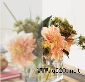 TBS-312ٳƽ岣ɰ(D)