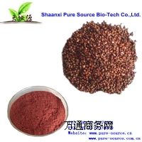 陜西天地源廠家現(xiàn)貨供應(yīng)全水溶葡萄籽提取物,原花青素95%
