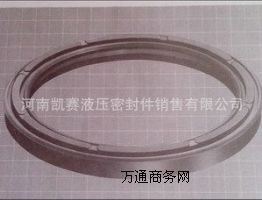 供應(yīng)非標油封密封圈