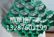 hdpeֲݸr(ji)hdpeֲݸF(xin)؛