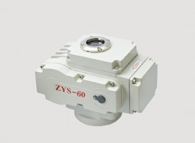zys-60г늄^S