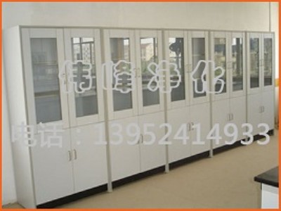 試劑柜 藥品試劑柜 通風(fēng)試劑柜 實(shí)驗(yàn)室試劑柜
