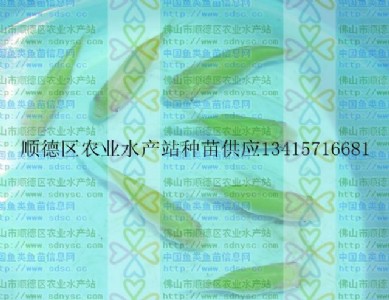 ~硢~