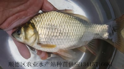 a~(y)磬Ϸa~(y)a~(y)