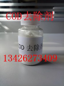 codȥa(chn)S҃r(ji)(sh)