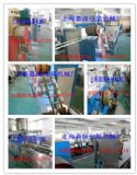 һ(yu)|(zh)PPa(chn)CM(D)
