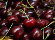 Y(yng)܇(ch)?yn)ݣY(yng)܇(ch)?yn)޼Y(yng)܇(ch)?yn)a(chn)