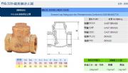 臺灣RING東光閥門FIG.328鑄黃銅逆止閥