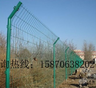 (zhn)@և Sh䓽zW(wng)Ҏ(gu) ƺo(h) FzW(wng)ڶX